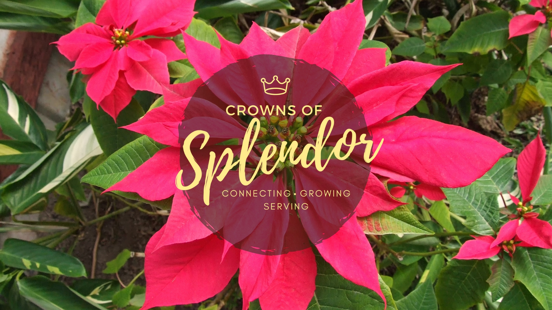 Crowns of Splendor-Christmas Luncheon