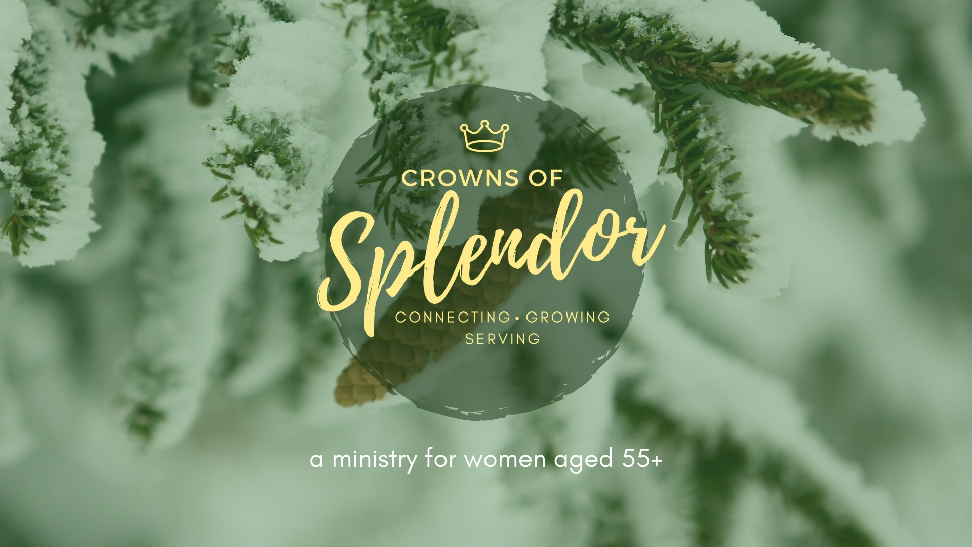 Crowns of Splendor: January Lunch and Learn