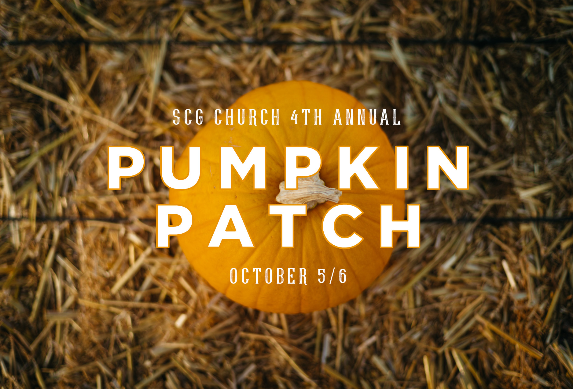 Pumpkin Patch