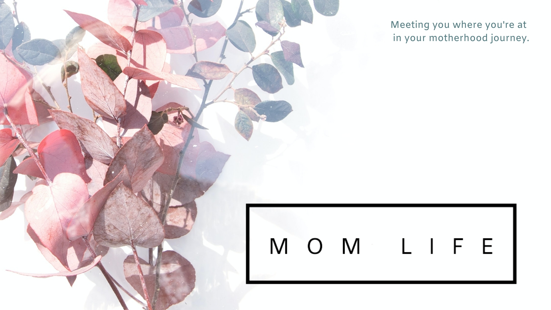 Mom Life: No Better Mom for the Job
